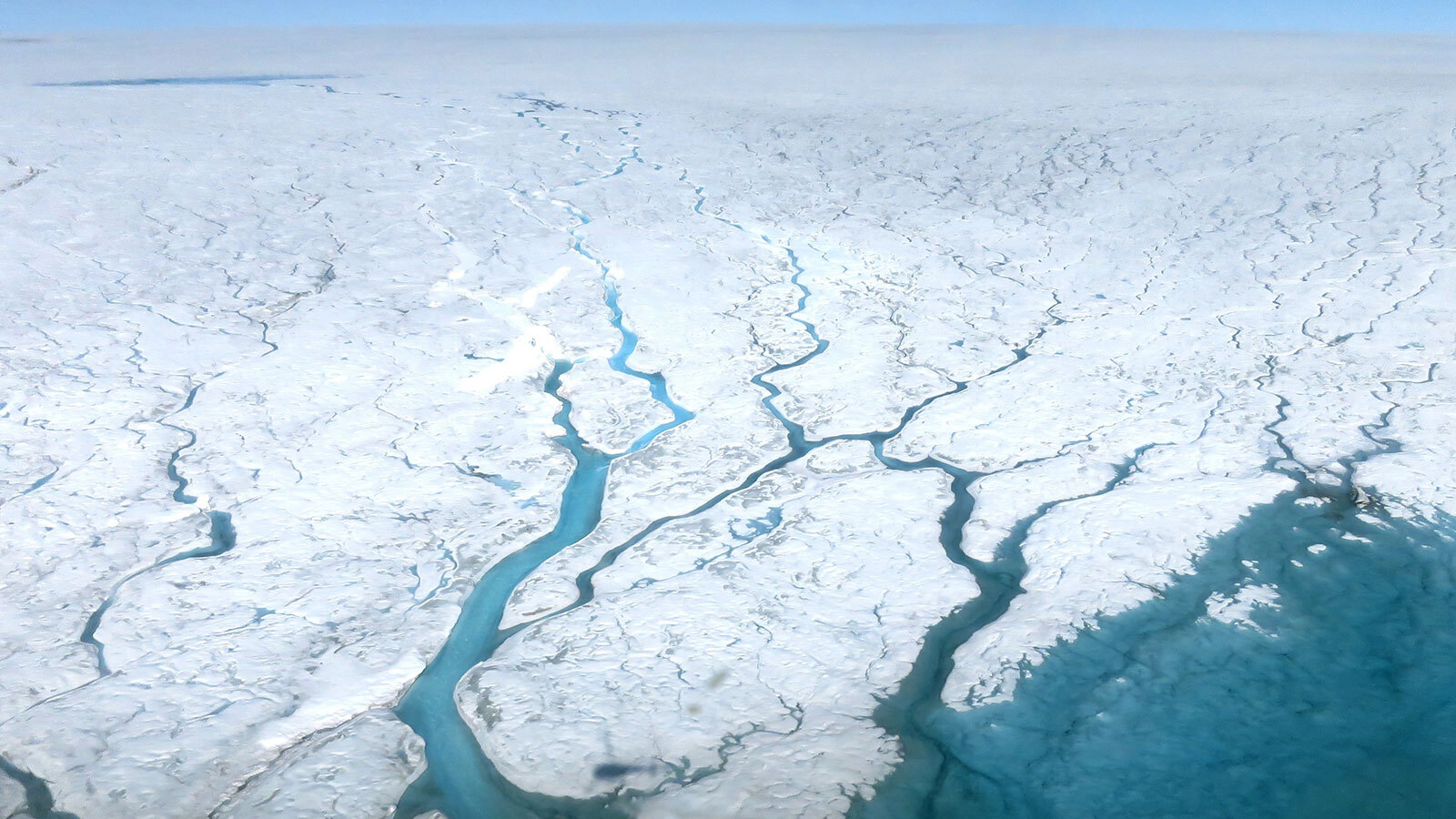A photo of meltwater rivers flowing across the Greenland Ice sheet, where the rivers branch out over the ice.