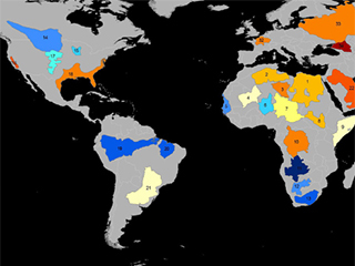 Map of Groundwater Storage Trends for Earth's 37 Largest Aquifers